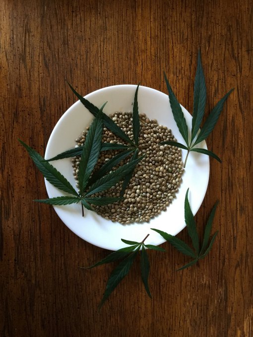 jak przechowywać nasiona marihuany